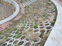 Geocelda de Plástico HDPE Texturizada y Perforada Tipo Panal de Abeja, Precio de Fabricante, Rejilla para Grava, Geocelda para Construcción de Carreteras