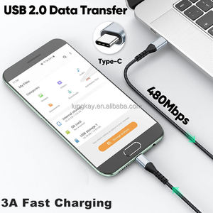 Cable USB C a USB C Trenzado de Carga Rápida, OEM ODM Personalizado, PD 60w 3A, Cables de Datos Tipo C para Teléfono, Laptop, Tablet - Product Image 2