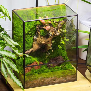 <span class=keywords><strong>Vase</strong></span> à fleurs en verre minimaliste et écologique à prix d'usine avec porte pour plantes succulentes et aquatiques, décoration murale - Product Image 1