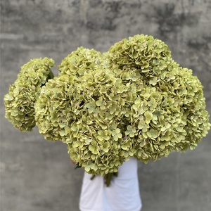 زهرة هيدرانجيا صناعية بيضاء كبيرة بقطر 30 سم من داليان تشيرمي للبيع بالجملة - Product Image 5