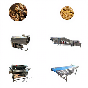 Automatic <strong>Ginger</strong> Cleaning &amp; Processing Machine 380V 1-3 Ton/Hour Capacity - Product Image 3