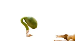 栄養強化剤ISP大豆タンパク質分離粉末食品タイプ - Product Image 2