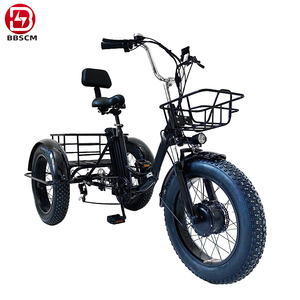 Bicicletta <span class=keywords><strong>Elettrica</strong></span> <span class=keywords><strong>Cargo</strong></span> da 20 Pollici, 36V 250W, a 2 Ruote, Non Pieghevole, per Consegna Cibo - Product Image 6