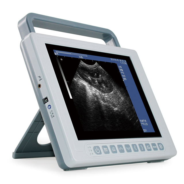 All-Digital Veterinary B-Mode Ultrasound Diagnostic Instrument for Accurate Diagnosis