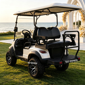 Carrito de Golf Eléctrico Expandible con Funciones Flexibles, Actualización con Múltiples Kits Opcionales para Clubes y Grandes Pedidos - Product Image 1