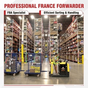 Transitario Profesional de Carga de China a Francia para FBA con Servicios Rápidos de Transporte Marítimo - Product Image 2