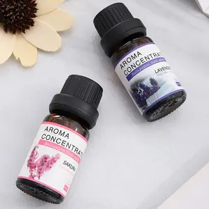 10ml 30ml 120ml toptan suda çözünür uçucu yağ bitki kokusu difüzör nemlendirici için aroma YAYICI uçucu yağ