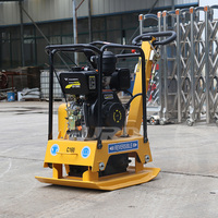 Vente directe d'usine moteur à essence/compacteur à plaques portable pour moteur diesel