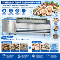 Machine de lavage et de nettoyage automatique de moules coquillages à rouleaux brosse 1000 kg/h, pour coquillages et fruits de mer