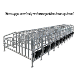 Thiết Bị Chăn Nuôi Gia Sú<span class=keywords><strong>c</strong></span>, Thiết Bị Chăn Nuôi Heo Bằng Gang, Chuồng Nuôi Heo Để Bán Chuồng Heo Với Bàn Sản Khoa Lợn - Product Image 6