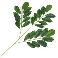 Vente en gros de tiges de feuilles artificielles personnalisées, formes variées, écologiques, de haute qualité, pour la décoration de mariages, événements, paysages et toiles de fond.