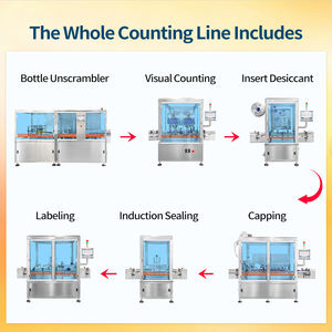 New Design CCD Camera Detection Automatic Capsule and Tablet Counting Production Line Capsule Tablet Counting Packing Line - Product Image 3