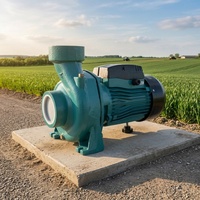 Pompe à eau centrifuge électrique OEM haute pression 2200W 3HP 1x1 pouce, débit max. 1000l/m³, hauteur de refoulement max. 13m - Vente directe usine