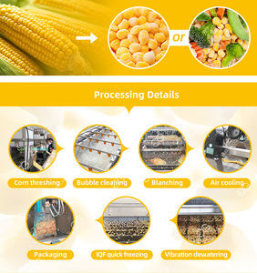 Ligne de production automatique de petits pois surgelés, machine de congélation à bande transporteuse, machine de congélation IQF - Product Image 2