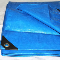 Vente en gros bâches de couverture bleues bâche imperméable robuste bâche PE
