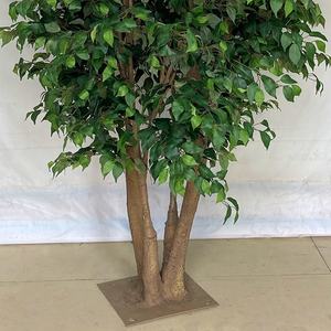 ต้นไม้ต้นไทรประดิษฐ์ความหนาแน่นสูง250ซม. ต้นไม้ต้นไทรแบบเดี่ยว - Product Image 2