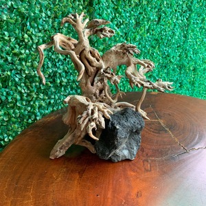 Décorer l'aquarium avec du bois flotté de bonsaï en bois naturel vietnamien, M103.2 - Product Image 2