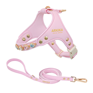 Conjunto de Arnés de Cuero para Perro, Arnés Ajustable para Perro Pequeño con Correa a Juego, Decoración de Cristal, Cuero PU, Disponible en Stock - Product Image 2