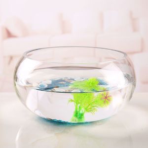 Petit aquarium en verre épais pour salon, transparent, adapté à un usage domestique, culture hydroponique de lotus, bureau - Product Image 1