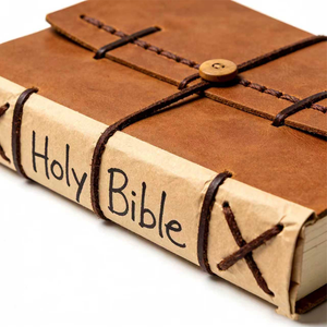 Livre <span class=keywords><strong>d</strong></span>'impression à couverture souple Bibles espagnoles Kjv Big Holy Bible New English Study - Product Image 1