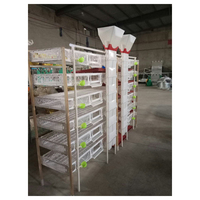 Cages à cailles de couche de conception automatique/cage commerciale à cailles à vendre
