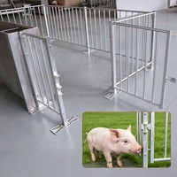 Maßgefertigter Feuerverzinkter Schweinefleischungsstall mit Komplettem Zubehör, Langlebiger Abfertigungsstall für die Schweinezucht