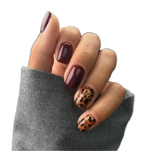 Venta al por mayor Manicura Estampado de leopardo Usable Nail Art <span class=keywords><strong>Vino</strong></span> rojo Color sólido Nail Art Piezas Cuadrado corto Otoño Usable Nail Art - Product Image 1