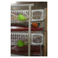 Cages à cailles de couche de conception automatique/cage commerciale à cailles à vendre