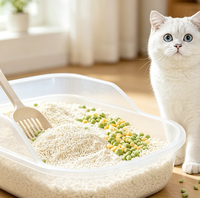 Litière pour chat en cassave naturelle à agglomération rapide, hautement absorbante, faible en poussière, bonne gestion des odeurs, jetable aux toilettes, 2,5 kg, sable pour chat