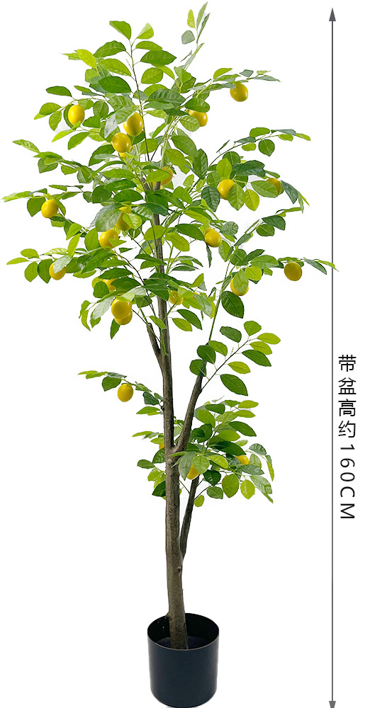 160cm