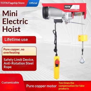 Palans électriques <span class=keywords><strong>100</strong></span>% cuivre pur 220V, <span class=keywords><strong>mini</strong></span>-grue domestique, <span class=keywords><strong>treuil</strong></span> à câble 0,5 tonne, élévateur - Product Image 2