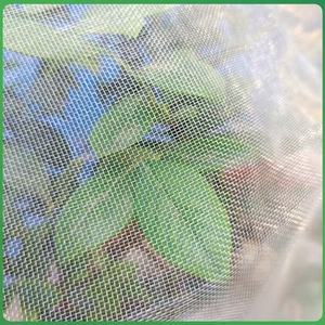 PE personnalisé + UV taille personnalisée 50g 60g 20-120mesh agriculture <span class=keywords><strong>filet</strong></span> <span class=keywords><strong>anti</strong></span>-insectes pour l'agriculture protection des vergers - Product Image 4