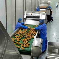 Volledig automatische mango puree sap gedroogd fruit saus verwerkingslijn |   Capaciteit van 50-1000 TPD |   Producent van voedingsmiddelenmachines