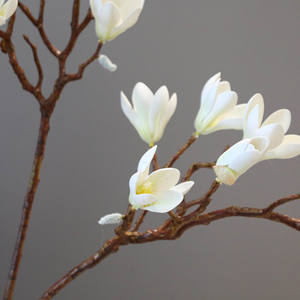 Branche de fleur de magnolia Yulan blanche de haute qualité, toucher réel, en PU fait main, pour la décoration de mariage, de la maison ou de Noël - Product Image 4