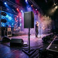 Haut-parleur professionnel haute sensibilité LS de 10 pouces, système audio 250W RMS pour salles de karaoké, bars et clubs - K-P6010