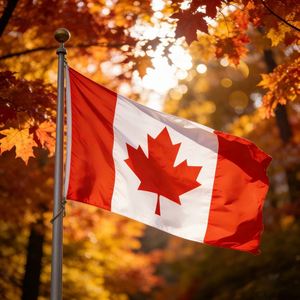 Drapeau national canadien personnalisé en polyester 3x5 pieds - En stock, drapeau imprimé numériquement, livraison rapide (en gros) - Product Image 2