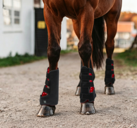 Dispositif de physiothérapie infrarouge pour les jambes des chevaux, lampe de photothérapie à lumière rouge pour la récupération des blessures, genouillères antidérapantes