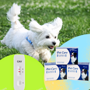 Test rapide d'anticorps canin Brucella BCL Ab - Product Image 3