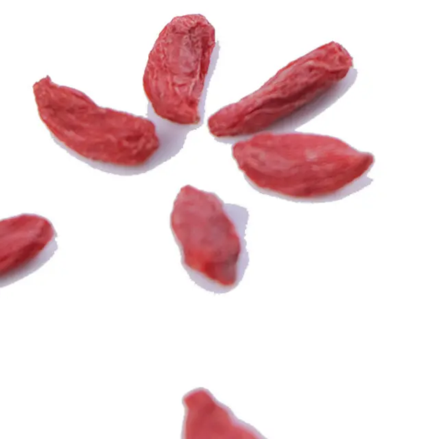 Factory Manufacture Various Tradition Fresh Goji Berries Frozen Berry Goji