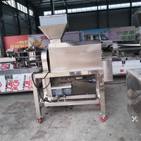 Industriële citruspers en -pureermachine voor grote vruchten