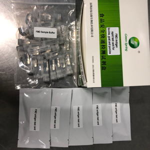 ชุดตรวจแอนติเจนเร็ว LSY-20090-2 Green Spring FMD สำหรับการตรวจเชิงพาณิชย์และใช้ในบ้าน จำนวน 40 การตรวจ/ชุด - Product Image 2