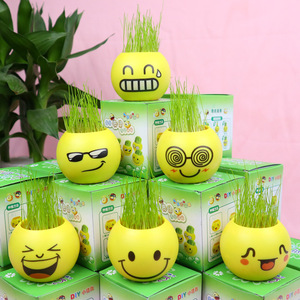 Mini Bonsái con Emojis, Planta en Maceta, Decoración Verde para Interiores, 4 Piezas, Plástico Redondo, Regalo para Sala de Estar, Cumpleaños - Product Image 2