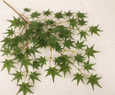 สีเขียว