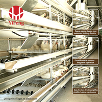Cage à poulets de chair de type H, automatique, 4 niveaux, avec plancher à lattes en plastique, abreuvoir à tétine, courroie de fumier, OEM, haute densité
