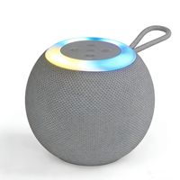 Nouveau haut-parleur Bluetooth KD310 au design ballon de football avec lumière LED colorée, mini haut-parleur sans fil portable avec sangle, idéal pour les voyages et les fêtes
