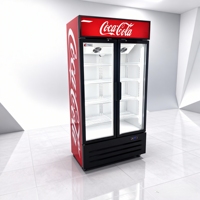 Réfrigérateur vertical pour boissons avec porte en verre, présentoir de boissons, porte en verre, réfrigérateur Coca-Cola