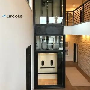 लक्जरी चिनाई शाफ्ट 9m आधुनिक जीवन शैली मिनी घर लिफ्ट
