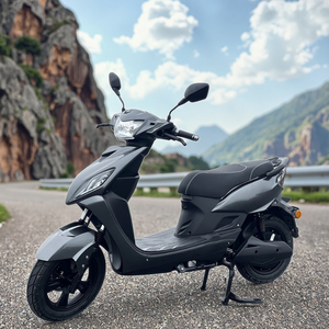 Moto électrique personnalisée à grande vitesse 45 km/h L1e-b COC pour deux passagers - Product Image 5