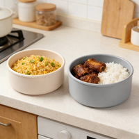 Boîte à lunch en silicone, compatible micro-ondes, hermétique, avec couvercle épaissi, portable, de qualité alimentaire, design moderne et minimaliste, individuelle