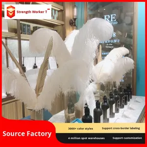 Trois mille plumes écologique 15-80cm grandes plumes d'autruche blanches décoration pour mariage allée Photo accessoires salon - Product Image 5